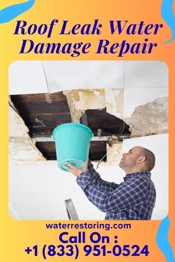 Roof Leak Water Damage Repair in Severy, KS
